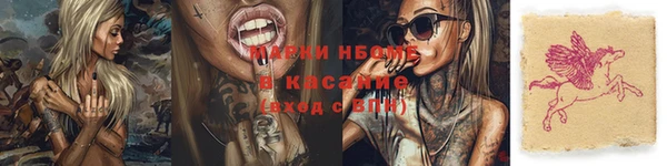 кокс Арсеньев