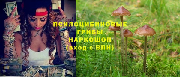 кокс Арсеньев