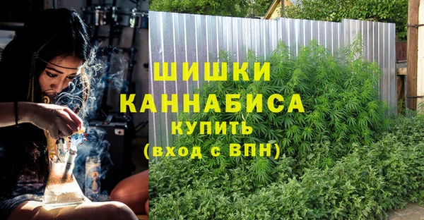 сатива Армянск
