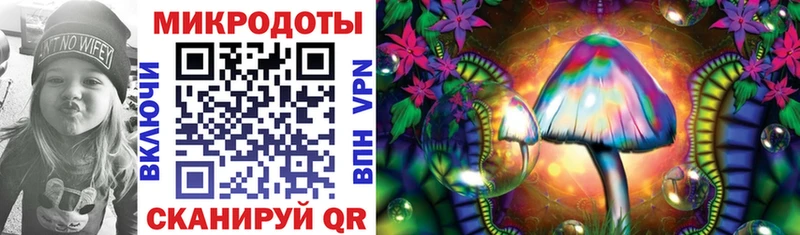Псилоцибиновые грибы Psilocybine cubensis  MEGA ссылка  Свободный 