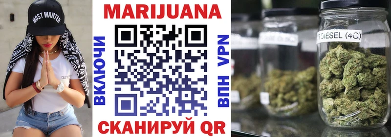 OMG tor Свободный Шишки марихуана сатива